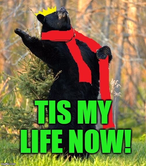 drama queen | TIS MY LIFE NOW! | image tagged in drama queen | made w/ Imgflip meme maker