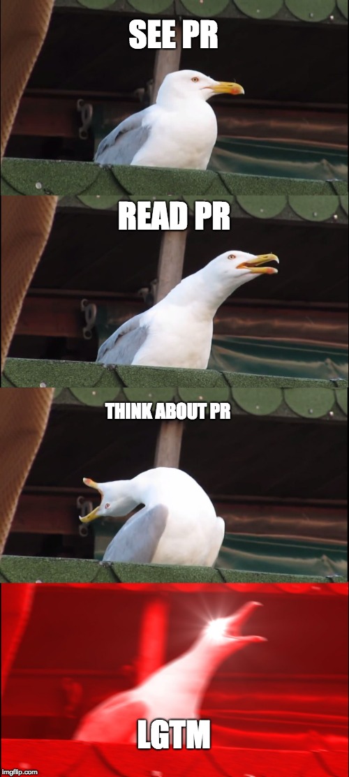 Inhaling Seagull Meme | SEE PR; READ PR; THINK ABOUT PR; LGTM | image tagged in memes,inhaling seagull | made w/ Imgflip meme maker