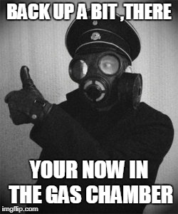 nazi thumbs up | BACK UP A BIT ,THERE; YOUR NOW IN THE GAS CHAMBER | image tagged in nazi thumbs up | made w/ Imgflip meme maker