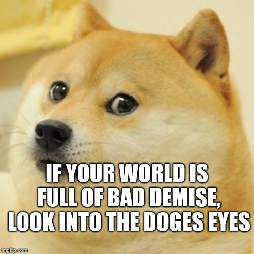 da doge | IF YOUR WORLD IS FULL OF BAD DEMISE, LOOK INTO THE DOGES EYES | image tagged in memes,doge | made w/ Imgflip meme maker