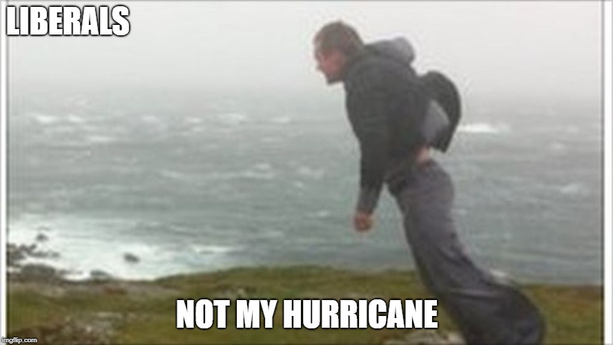 liberals hurricane | LIBERALS; NOT MY HURRICANE | image tagged in liberals,liberal logic,funny memes,democratic party,hurricane | made w/ Imgflip meme maker