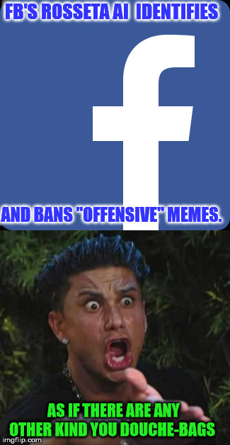 FB sucks  | FB'S ROSSETA AI  IDENTIFIES; AND BANS "OFFENSIVE" MEMES. AS IF THERE ARE ANY OTHER KIND YOU DOUCHE-BAGS | image tagged in facebook,fascism,douchebag | made w/ Imgflip meme maker