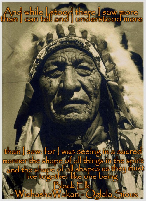 Black Elk Wisdom Wichasha Wakan | And while I stood there I saw more; than I can tell and I understood more; than I saw: for I was seeing in a sacred; manner the shape of all things in the spirit; and the shape of all shapes as they must; live together like one being; Black Elk; - WichashaWakan - Oglala Sioux | image tagged in native american,native americans,indians,chief,indian chiefs,tribe | made w/ Imgflip meme maker