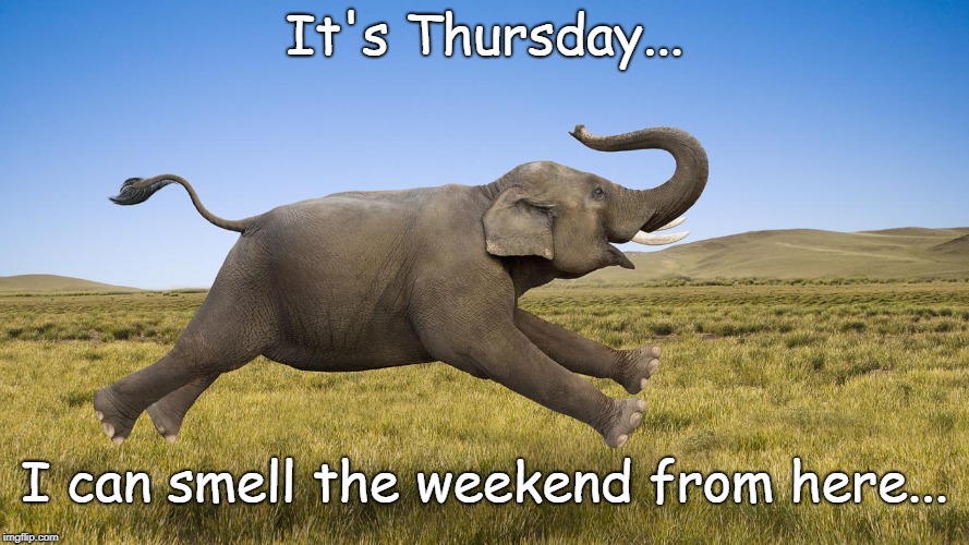 Thursday... | It's Thursday... I can smell the weekend from here... | image tagged in weekend,neglected day,here | made w/ Imgflip meme maker