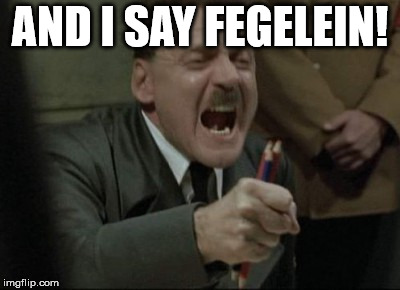 Hitler Downfall | AND I SAY FEGELEIN! | image tagged in hitler downfall | made w/ Imgflip meme maker