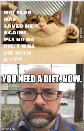 Fat cat diet meme | YOU NEED A DIET. NOW. | image tagged in funny,cat,diet,grumpy,fat | made w/ Imgflip meme maker