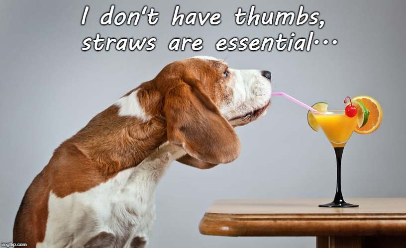 Straws are essential... | I don't have thumbs, straws are essential... | image tagged in no thumbs,straws,dog,urgent | made w/ Imgflip meme maker