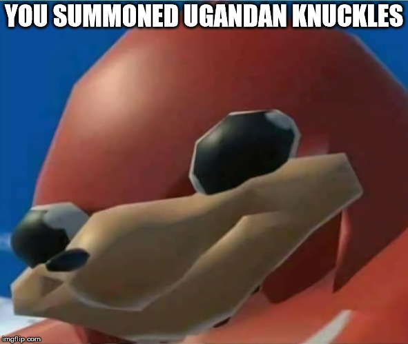 Ugandan Knuckles | YOU SUMMONED UGANDAN KNUCKLES | image tagged in ugandan knuckles | made w/ Imgflip meme maker