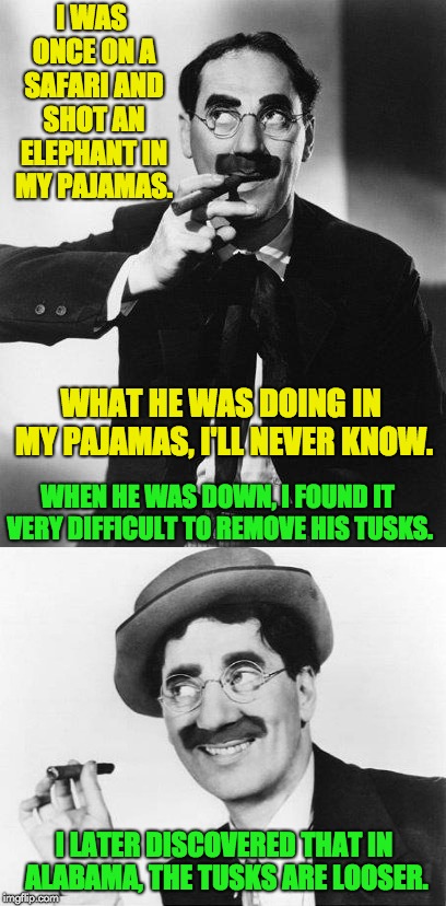 But this is all totally irr-elephant. | I WAS ONCE ON A SAFARI AND SHOT AN ELEPHANT IN MY PAJAMAS. WHAT HE WAS DOING IN MY PAJAMAS, I'LL NEVER KNOW. WHEN HE WAS DOWN, I FOUND IT VE | image tagged in groucho marx | made w/ Imgflip meme maker