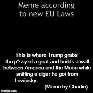 EU law meme | Meme according to new EU Laws; This is where Trump grabs the p*ssy of a goat and builds a wall between America and the Moon while sniffing a cigar he got from Lewinsky.
                                                         (Meme by Charlie) | image tagged in funny,eulaws | made w/ Imgflip meme maker