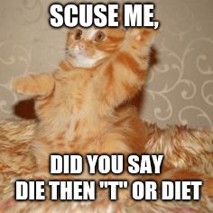 Diet cat meme | SCUSE ME, DID YOU SAY DIE THEN "T" OR DIET | image tagged in diet,cat,kitten,hand,raise,orange | made w/ Imgflip meme maker