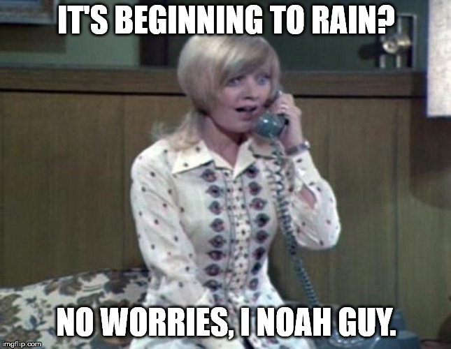 Florence | IT'S BEGINNING TO RAIN? NO WORRIES, I NOAH GUY. | image tagged in florence | made w/ Imgflip meme maker