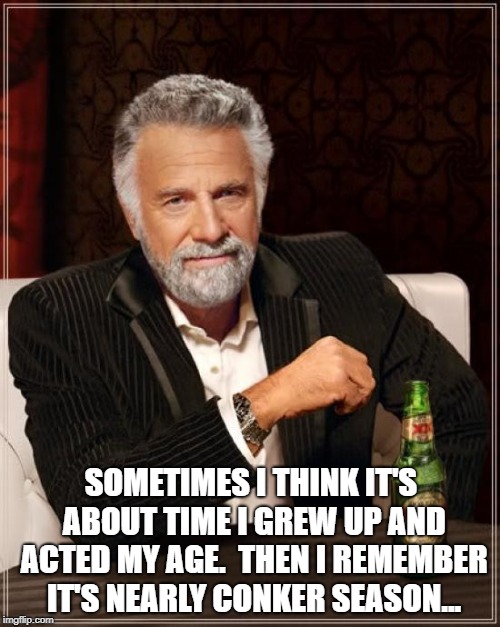 The Most Interesting Man In The World Meme | SOMETIMES I THINK IT'S ABOUT TIME I GREW UP AND ACTED MY AGE. 
THEN I REMEMBER IT'S NEARLY CONKER SEASON... | image tagged in memes,the most interesting man in the world | made w/ Imgflip meme maker