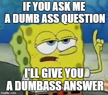 I'll Have You Know Spongebob Meme | IF YOU ASK ME A DUMB ASS QUESTION; I'LL GIVE YOU A DUMBASS ANSWER | image tagged in memes,ill have you know spongebob | made w/ Imgflip meme maker
