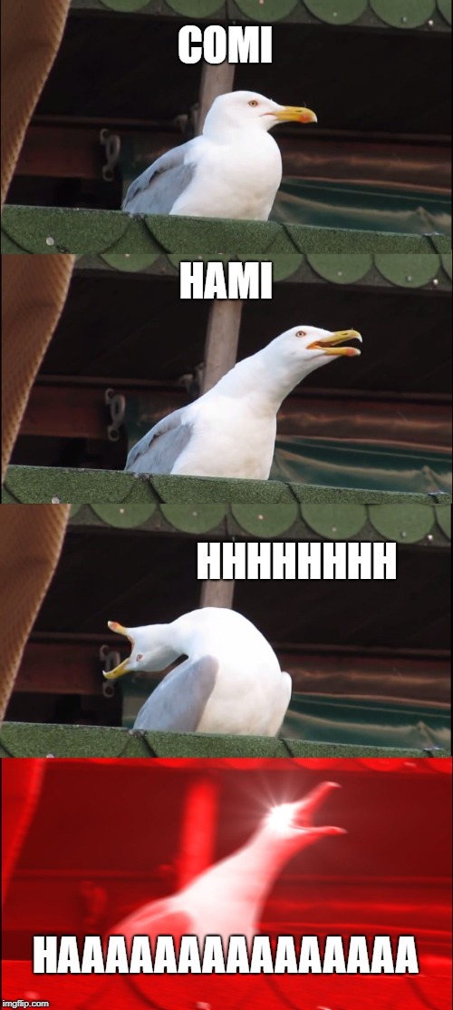 Inhaling Seagull Meme | COMI; HAMI; HHHHHHHH; HAAAAAAAAAAAAAAA | image tagged in memes,inhaling seagull,anime,dbz | made w/ Imgflip meme maker