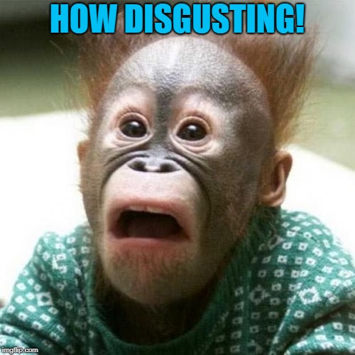 Shocked Monkey | HOW DISGUSTING! | image tagged in shocked monkey | made w/ Imgflip meme maker