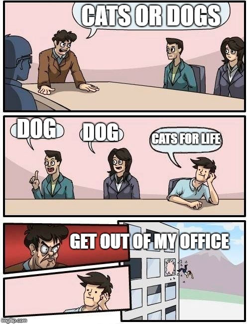 Boardroom Meeting Suggestion | CATS OR DOGS; DOG; DOG; CATS FOR LIFE; GET OUT OF MY OFFICE | image tagged in memes,boardroom meeting suggestion | made w/ Imgflip meme maker