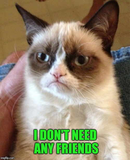 Grumpy Cat Meme | I DON'T NEED ANY FRIENDS | image tagged in memes,grumpy cat | made w/ Imgflip meme maker