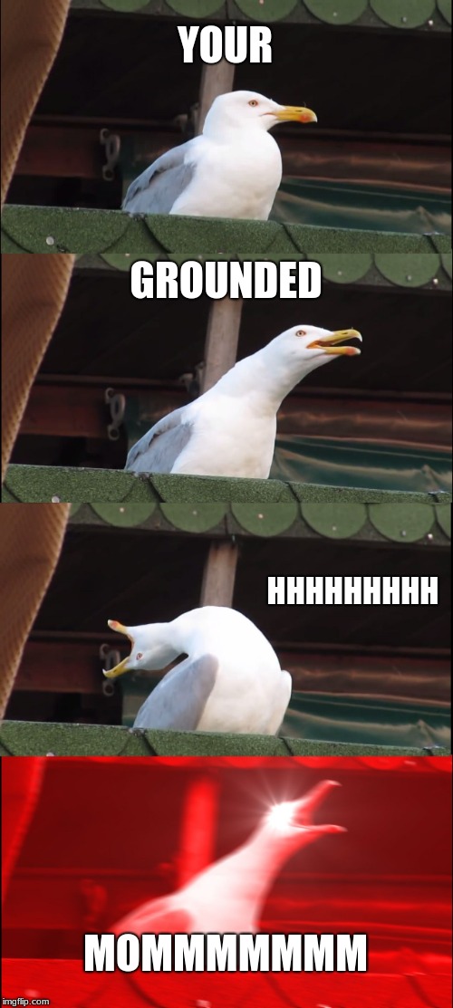 Jesus | YOUR; GROUNDED; HHHHHHHHH; MOMMMMMMM | image tagged in memes,inhaling seagull | made w/ Imgflip meme maker
