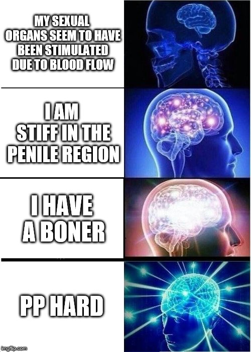 Groiny Intelligence  | MY SEXUAL ORGANS SEEM TO HAVE BEEN STIMULATED DUE TO BLOOD FLOW; I AM STIFF IN THE PENILE REGION; I HAVE A BONER; PP HARD | image tagged in memes,expanding brain | made w/ Imgflip meme maker