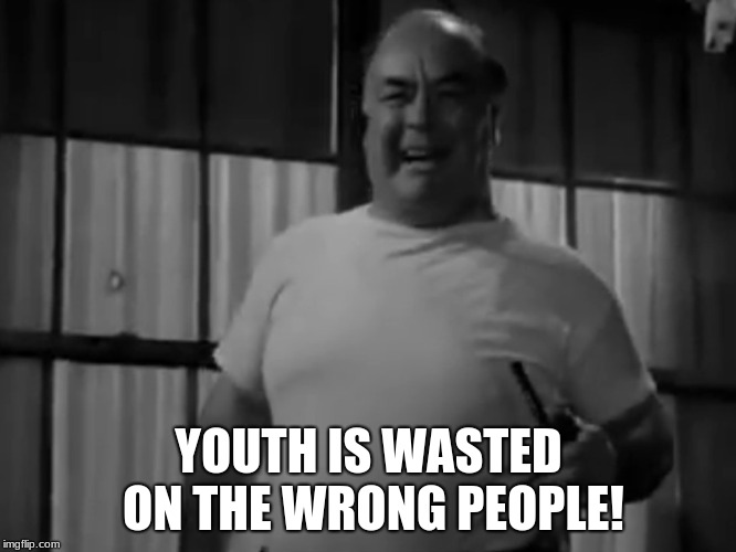 YOUTH IS WASTED ON THE WRONG PEOPLE! | image tagged in youth is wasted on the wrong people | made w/ Imgflip meme maker