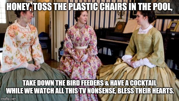 Southern Bell | HONEY, TOSS THE PLASTIC CHAIRS IN THE POOL, TAKE DOWN THE BIRD FEEDERS & HAVE A COCKTAIL WHILE WE WATCH ALL THIS TV NONSENSE, BLESS THEIR HEARTS. | image tagged in southern bell | made w/ Imgflip meme maker