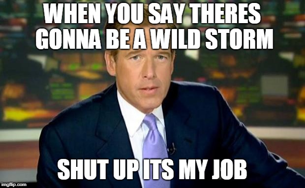 Brian Williams Was There Meme | WHEN YOU SAY THERES GONNA BE A WILD STORM; SHUT UP ITS MY JOB | image tagged in memes,brian williams was there | made w/ Imgflip meme maker