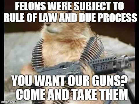 Come and get em' | FELONS WERE SUBJECT TO RULE OF LAW AND DUE PROCESS YOU WANT OUR GUNS?  COME AND TAKE THEM | image tagged in come and get em' | made w/ Imgflip meme maker