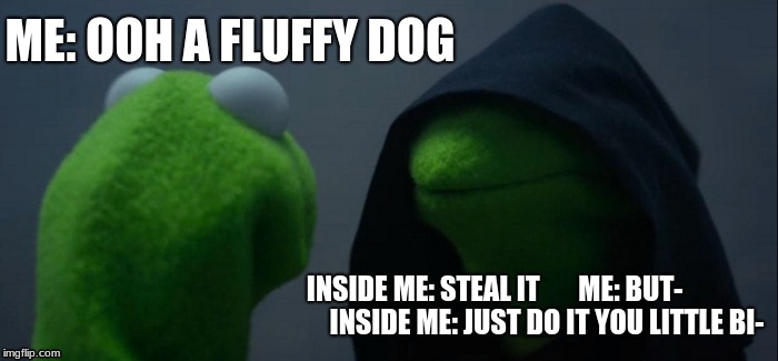 Evil Kermit Meme | ME: OOH A FLUFFY DOG; INSIDE ME: STEAL IT       ME: BUT-

                 INSIDE ME: JUST DO IT YOU LITTLE BI- | image tagged in memes,evil kermit | made w/ Imgflip meme maker