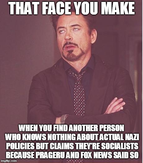 Face You Make Robert Downey Jr Meme | THAT FACE YOU MAKE WHEN YOU FIND ANOTHER PERSON WHO KNOWS NOTHING ABOUT ACTUAL NAZI POLICIES BUT CLAIMS THEY'RE SOCIALISTS BECAUSE PRAGERU A | image tagged in memes,face you make robert downey jr | made w/ Imgflip meme maker