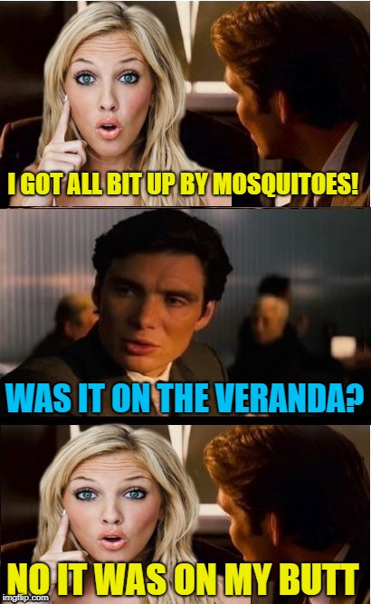 Blonde date | I GOT ALL BIT UP BY MOSQUITOES! WAS IT ON THE VERANDA? NO IT WAS ON MY BUTT | image tagged in funny memes,inception,dumb blonde,mosquitoes,mosquito attack | made w/ Imgflip meme maker