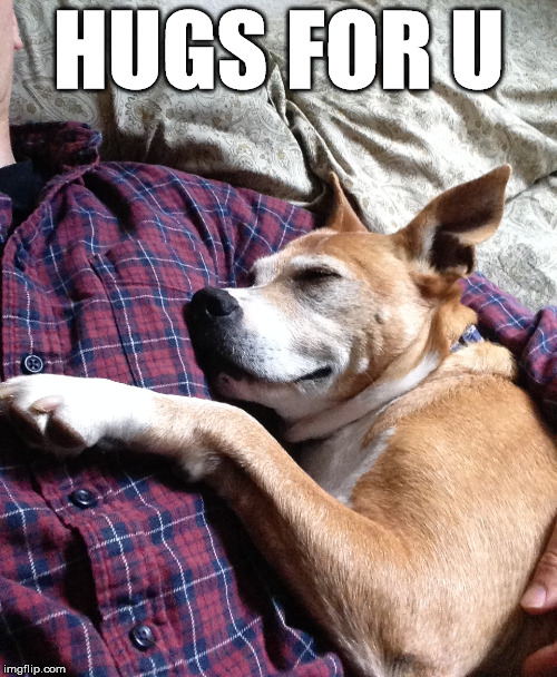 Hugs for you | HUGS FOR U | image tagged in hugs,cute,cuddle,dog,comfy,love | made w/ Imgflip meme maker