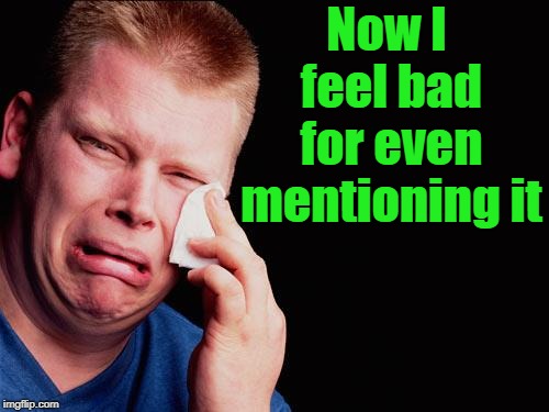 cry | Now I feel bad for even mentioning it | image tagged in cry | made w/ Imgflip meme maker