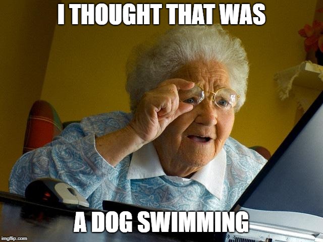 Grandma Finds The Internet Meme | I THOUGHT THAT WAS A DOG SWIMMING | image tagged in memes,grandma finds the internet | made w/ Imgflip meme maker