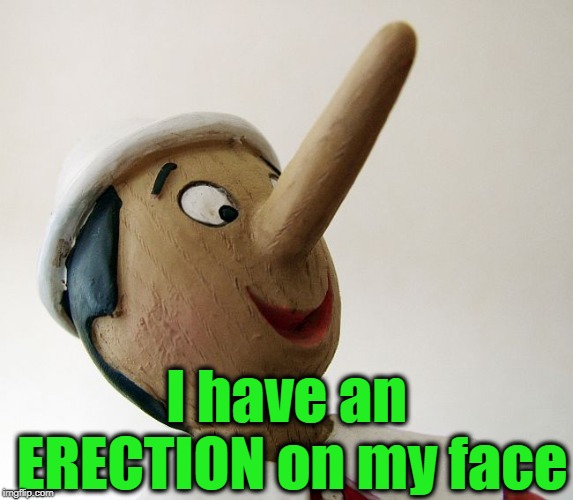 Pinnochio | I have an ERECTION on my face | image tagged in pinnochio | made w/ Imgflip meme maker