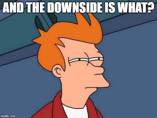 Futurama Fry Meme | AND THE DOWNSIDE IS WHAT? | image tagged in memes,futurama fry | made w/ Imgflip meme maker