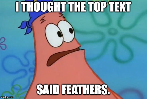 East? I thought you said Weast. | I THOUGHT THE TOP TEXT SAID FEATHERS. | image tagged in east i thought you said weast | made w/ Imgflip meme maker