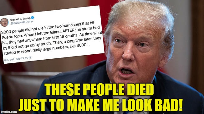 People died to make Trump look bad!  | THESE PEOPLE DIED JUST TO MAKE ME LOOK BAD! | image tagged in trump,puerto rico,hurricane,wilma | made w/ Imgflip meme maker