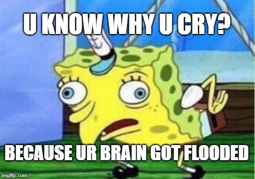 Mocking Spongebob Meme | U KNOW WHY U CRY? BECAUSE UR BRAIN GOT FLOODED | image tagged in memes,mocking spongebob | made w/ Imgflip meme maker