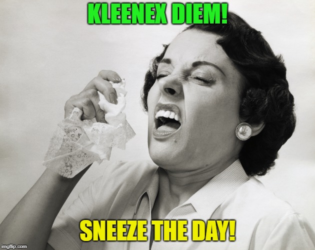 Use it when people sneeze | KLEENEX DIEM! SNEEZE THE DAY! | image tagged in memes,funny,kleenex,sneeze | made w/ Imgflip meme maker