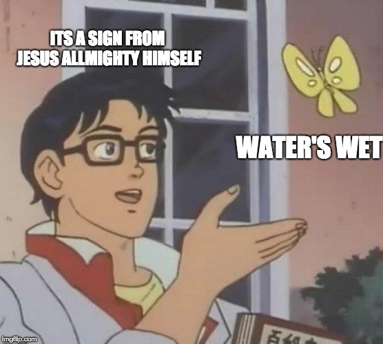 Is This A Pigeon Meme | ITS A SIGN FROM JESUS ALLMIGHTY HIMSELF; WATER'S WET | image tagged in memes,is this a pigeon | made w/ Imgflip meme maker