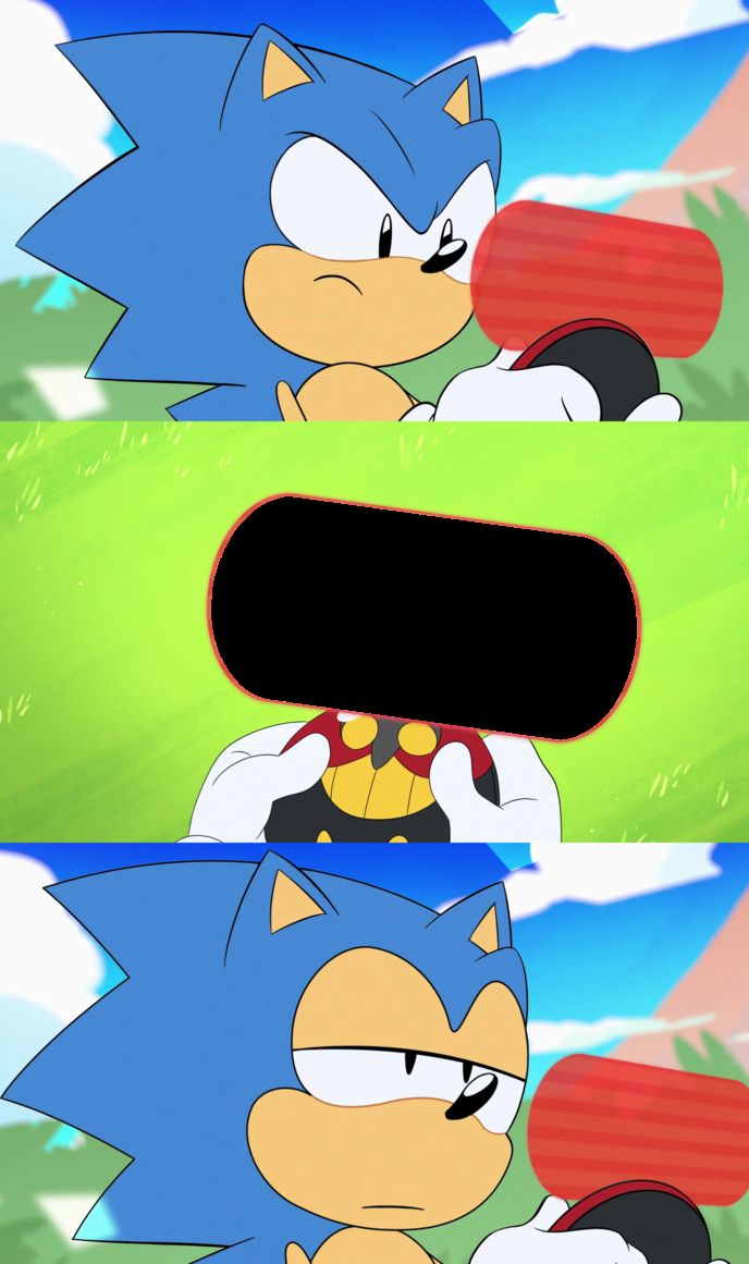 Sonic Dumb Message Meme. 