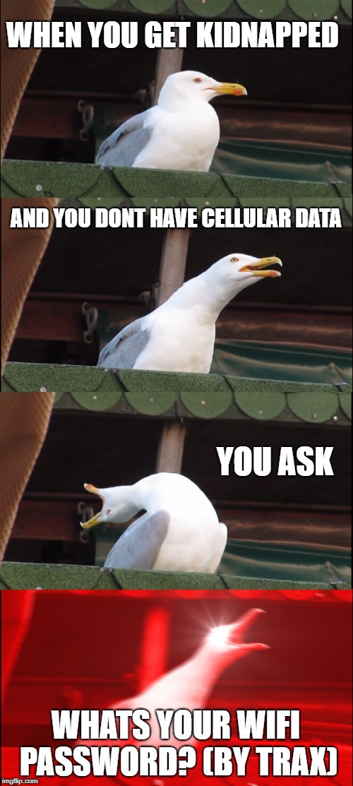 Inhaling Seagull Meme | WHEN YOU GET KIDNAPPED; AND YOU DONT HAVE CELLULAR DATA; YOU ASK; WHATS YOUR WIFI PASSWORD? (BY TRAX) | image tagged in memes,inhaling seagull | made w/ Imgflip meme maker