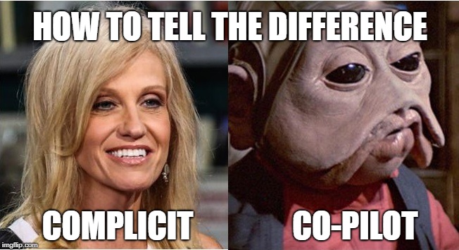 HOW TO TELL THE DIFFERENCE; COMPLICIT                CO-PILOT | image tagged in kellyanne conway,alternative facts | made w/ Imgflip meme maker