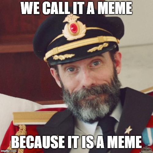 Captain Obvious | WE CALL IT A MEME BECAUSE IT IS A MEME | image tagged in captain obvious | made w/ Imgflip meme maker