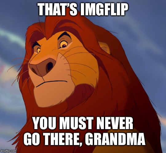 THAT’S IMGFLIP YOU MUST NEVER GO THERE, GRANDMA | made w/ Imgflip meme maker