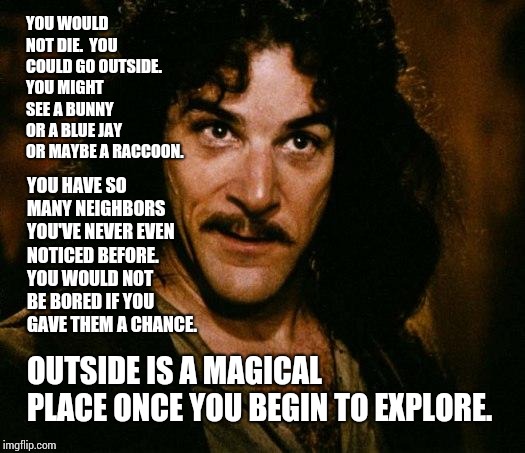 Inigo Montoya Meme | YOU WOULD NOT DIE.  YOU COULD GO OUTSIDE.  YOU MIGHT SEE A BUNNY OR A BLUE JAY OR MAYBE A RACCOON. OUTSIDE IS A MAGICAL PLACE ONCE YOU BEGIN | image tagged in memes,inigo montoya | made w/ Imgflip meme maker