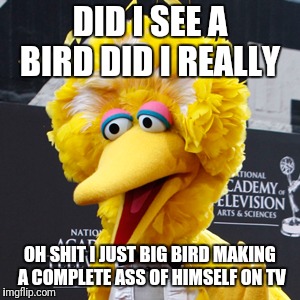 Big Bird Meme | DID I SEE A BIRD DID I REALLY; OH SHIT I JUST BIG BIRD MAKING A COMPLETE ASS OF HIMSELF ON TV | image tagged in memes,big bird | made w/ Imgflip meme maker