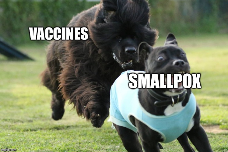 Dog chase | VACCINES SMALLPOX | image tagged in dog chase | made w/ Imgflip meme maker