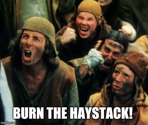 Monty Python Witch | BURN THE HAYSTACK! | image tagged in monty python witch | made w/ Imgflip meme maker